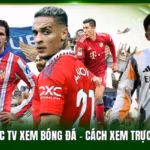 Tải App Xoilac Tv Xem Bóng Đá - Cách Xem Trực Tiếp Dễ Dàng